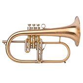F2Flugelhorn